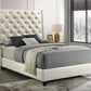 5265PL CHANTILLY PEARL BED - Queen - Pay On Delivery $360.00