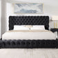 Dream Black Platform Bed Queen - Pay On Delivery $430.00