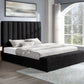 Valencia Black King - Pay On Delivery $530.00