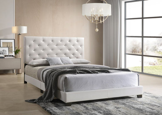 HH20188 - White Queen Platform Bed Frame - Pay On Delivery $230.00
