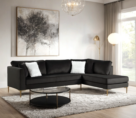 Catalina - Black Sectional - Pay On Delivery $620.00
